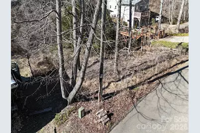 56 Moore Avenue, Asheville, NC 28806 - Photo 4