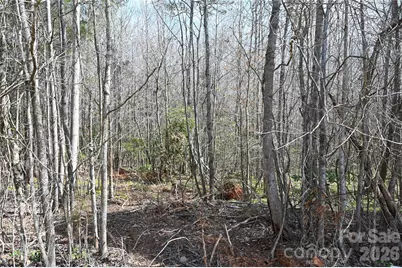 000 E Bells Branch Road #4, Blacksburg, SC 29702 - Photo 4