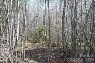 000 E Bells Branch Rd, Blacksburg, SC 29702 - Photo 4