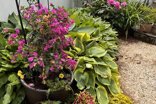 2216 Vision Dr, Charlotte, NC 28203 - Photo 14