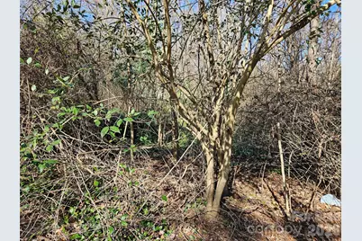 0 Weathers Street #21, Forest City, NC 28043 - Photo 2