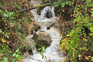 410 Rockwood Dr, Hendersonville, NC 28792 - Photo 42