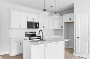 133 Cherry Spgs Ln, Asheville, NC 28804 - Photo 4