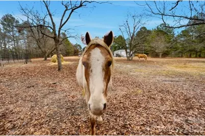 551 Maples Road, Pageland, SC 29728 - Photo 44