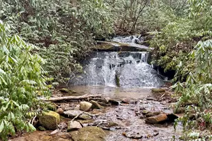 581 Hubbard Holw Rd, Rosman, NC 28772 - Photo 4