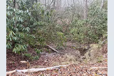 581 Hubbard Hollow Road, Rosman, NC 28772 - Photo 42