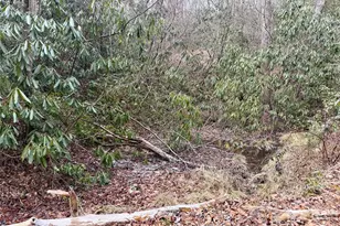 581 Hubbard Holw Rd, Rosman, NC 28772 - Photo 42