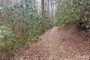 581 Hubbard Holw Rd, Rosman, NC 28772 - Photo 44