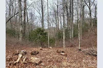 581 Hubbard Hollow Road, Rosman, NC 28772 - Photo 40