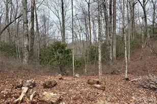581 Hubbard Holw Rd, Rosman, NC 28772 - Photo 40