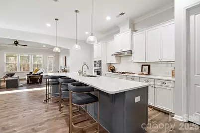 4211 Maggie Springs Way, Clover, SC 29710 - Photo 8