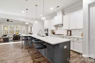 4211 Maggie Springs Way, Clover, SC 29710 - Photo 8