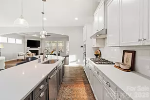 4211 Maggie Springs Way, Clover, SC 29710 - Photo 10