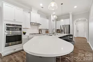 4211 Maggie Springs Way, Clover, SC 29710 - Photo 8