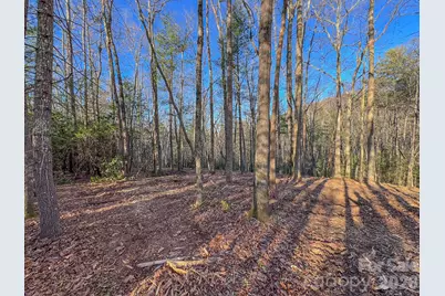000 Old Ccc Road #3, Hendersonville, NC 28739 - Photo 20