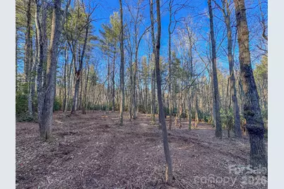 000 Old Ccc Road #3, Hendersonville, NC 28739 - Photo 26