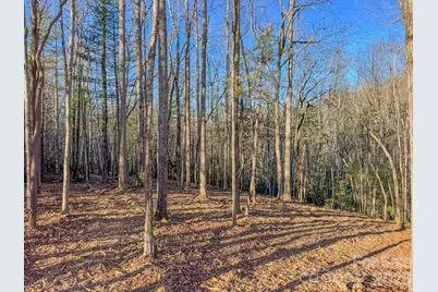 000 Old Ccc Road #3, Hendersonville, NC 28739 - Photo 18