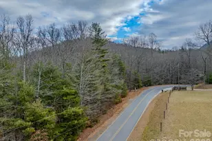 000 Old Ccc Rd, Hendersonville, NC 28739 - Photo 1