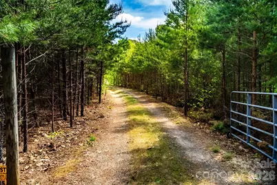 4515 Botany Trail, Maiden, NC 28650 - Photo 24