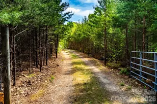 4515 Botany Trail, Maiden, NC 28650 - Photo 24