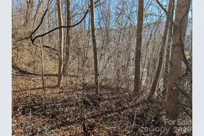 00 Great Smoky Mountain Expy Highway, Waynesville, NC 28786 - Photo 4