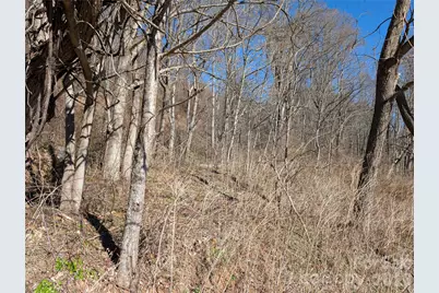 00 Great Smoky Mountain Expy Highway, Waynesville, NC 28786 - Photo 2