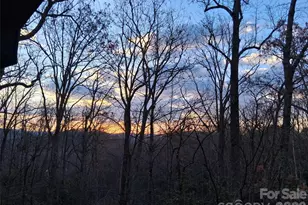 752 Burnside Trail, Hendersonville, NC 28792 - Photo 4