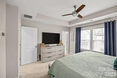 314 Hastings Run Drive, Charlotte, NC 28211 - Photo 30