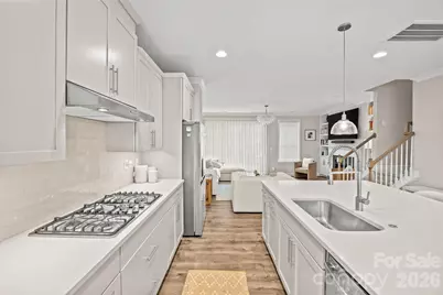 314 Hastings Run Drive, Charlotte, NC 28211 - Photo 14