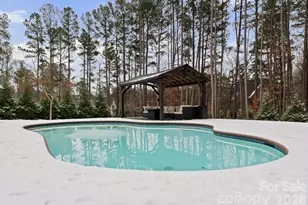 8022 Silver Jade Ln, Denver, NC 28037 - Photo 8