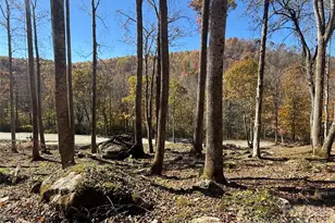 17 Sanctuary Trail, Elk Park, NC 28622 - Photo 2