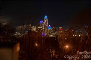 3123 N Davidson Street N, Charlotte, NC 28205 - Photo 22