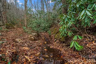 55 Heavenly Ln, Fairview, NC 28730 - Photo 38