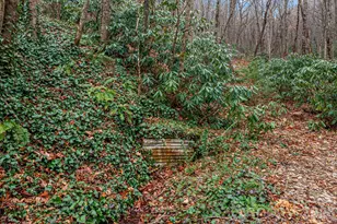 55 Heavenly Ln, Fairview, NC 28730 - Photo 40