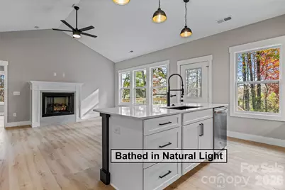 459 Waters Road, Hendersonville, NC 28792 - Photo 24