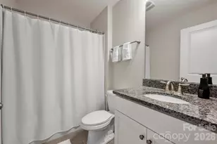 130 Carolina Ash Ln, Mooresville, NC 28117 - Photo 38