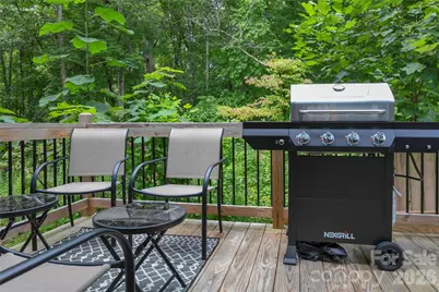 428 Emmas Grove Road, Fletcher, NC 28732 - Photo 22