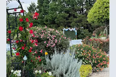 4530 Patterson Road, China Grove, NC 28023 - Photo 30