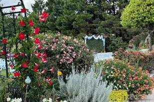 4530 Patterson Rd, China Grove, NC 28023 - Photo 30