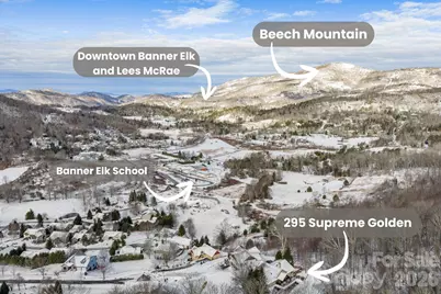 295 Supreme Golden Road, Banner Elk, NC 28604 - Photo 4