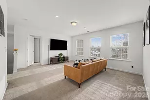 15125 Luna Dr, Charlotte, NC 28278 - Photo 26