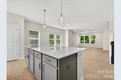 1534 Lithium Lane, Charlotte, NC 28211 - Photo 4