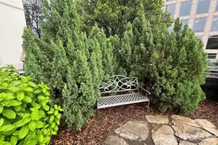 333 W Trade Street W, Charlotte, NC 28202 - Photo 26