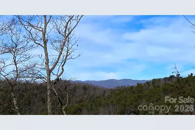 Tbd Ruffed Grouse Road #L045, Brevard, NC 28712 - Photo 2