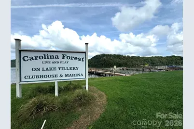 226 Balsam Circle, Troy, NC 27371 - Photo 46