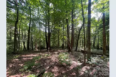 Lot # 21 Haverhill Court, Flat Rock, NC 28731 - Photo 22