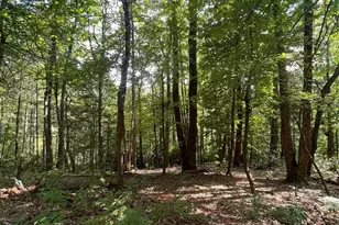 Lot # 21 Haverhill Ct, Flat Rock, NC 28731 - Photo 1