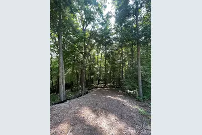 Lot # 21 Haverhill Court, Flat Rock, NC 28731 - Photo 6