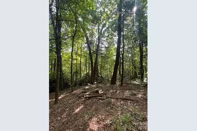 Lot # 21 Haverhill Court, Flat Rock, NC 28731 - Photo 12