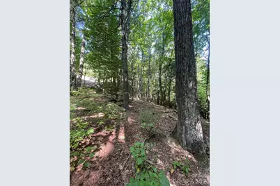 Lot # 21 Haverhill Court, Flat Rock, NC 28731 - Photo 16